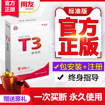 T3׼